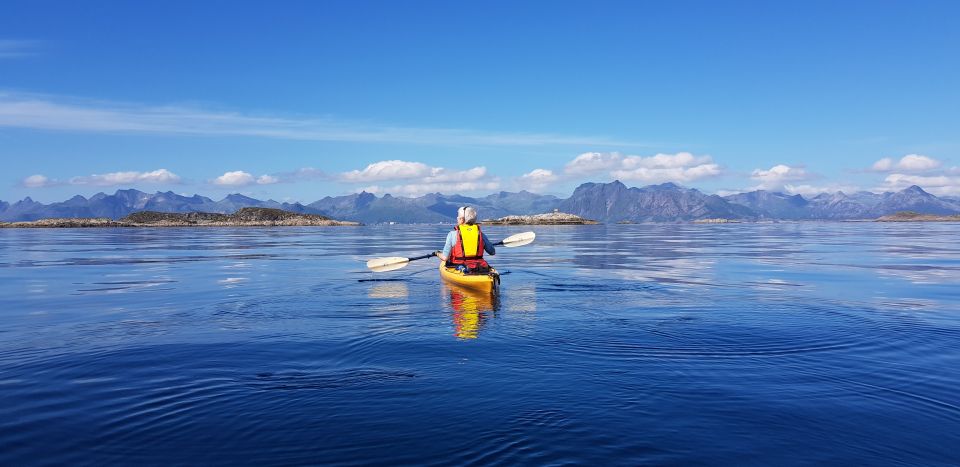 Skrova Island : 3hours Guided Kayak Tour - Customer Reviews and Feedback