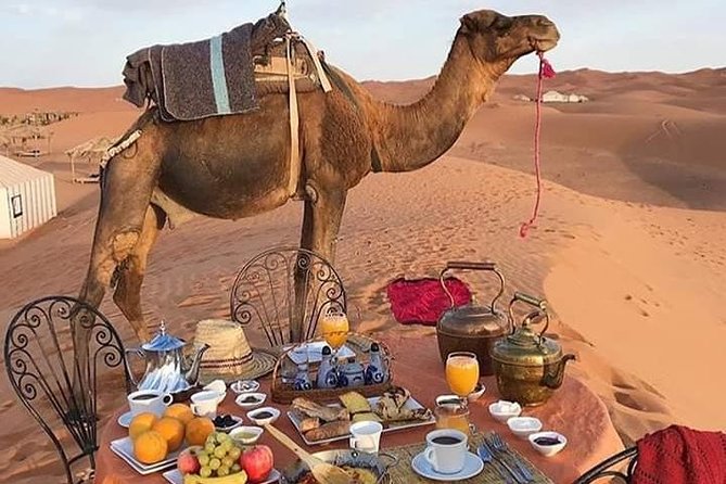 Small Group 3-Days Fez to Marrakech Desert Tour - Traveler Reviews