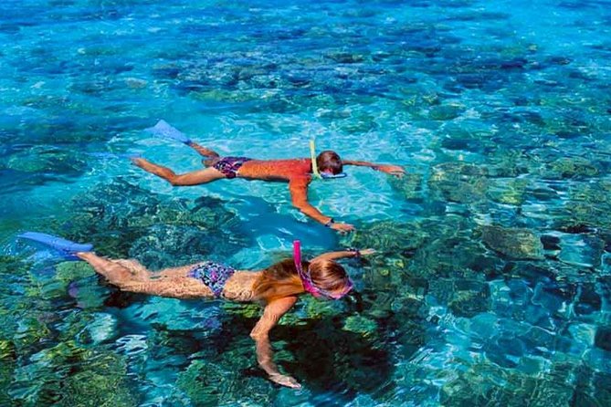Small-Group 90-Minute Snorkeling Tour of Wrecks, Tahiti - Accessibility Information