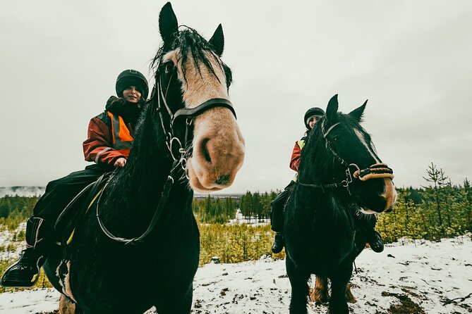 Small-Group Arctic Circle Horse Riding From Rovaniemi - Assistance and Contact Information