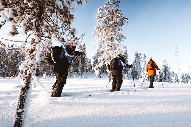 Small-Group Backcountry Ski Tour (Mar ) - Minimum Traveler Requirement