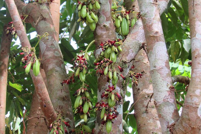 Small-Group Full-Day Khao Sok Nature Tour From Khao Lak - Customer Support Options