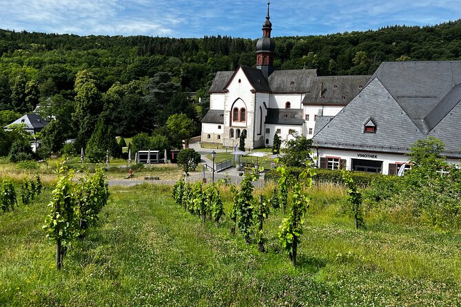 Small Group Rheingau Vineyards Tour With Castles and Abbeys - Booking Process and Customer Support