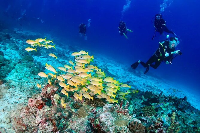 Small Group Scuba Diving Experience in Maiton Private Island - Directions