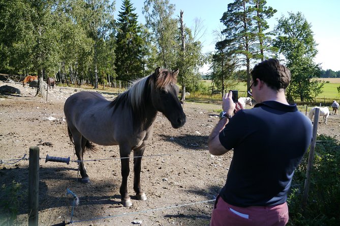 Small Group Swedish History Day Trip to the Countryside, UNESCO WORLD HERITAGE Candiade Area Markim- - Customer Satisfaction