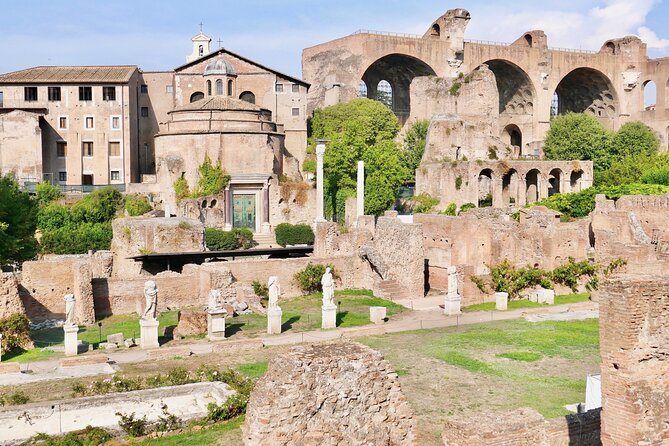 Small-Group Tour of Roman Forum, Palatine Hill & Circus Maximus - Tour Operator: TOURIKS
