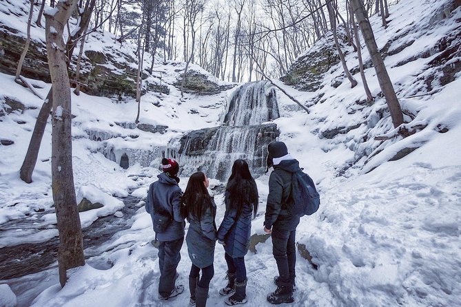 Small-Group Waterfalls Tour From Toronto, Niagara Escarpment - Pricing and Booking Details