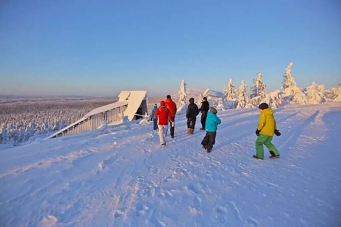 Small-Group Wintertime Amethyst Mine Visit From Rovaniemi - Contact and Booking Information