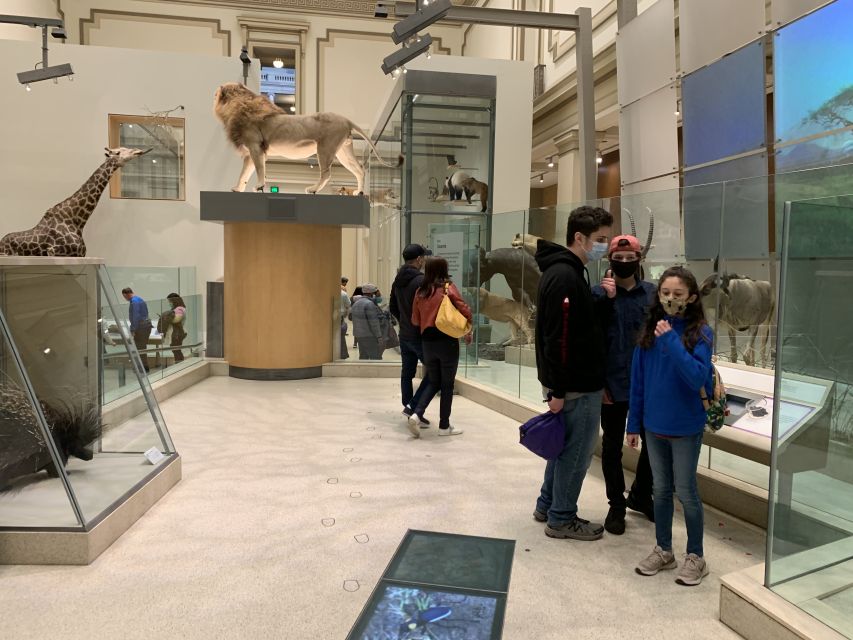 Smithsonian National Museum of Natural History Guided Tour - General Information