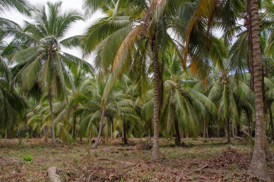 SMR TAYRONA NATIONAL PARK - Trek to Cabo San Juan - Trek to Cabo San Juan