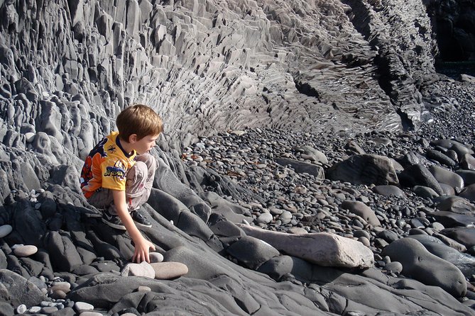 Snæfellsnes & Vatnshellir Lava Cave - PRIVATE TOUR - Common questions