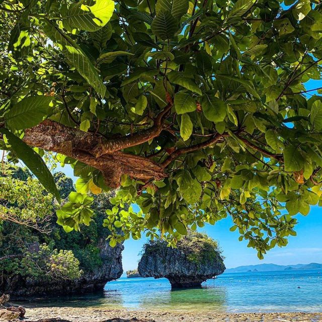 Snorkel & Explore: Hong Island Longtail Trip - Booking Details and Flexibility