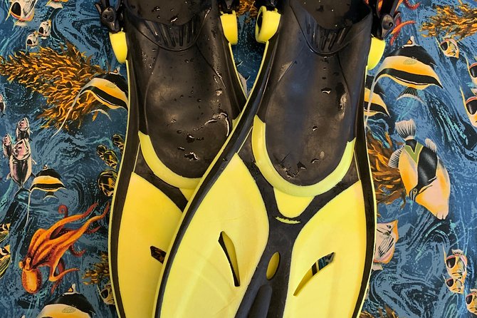 Snorkel Gears Near Hanauma Bay - Directions