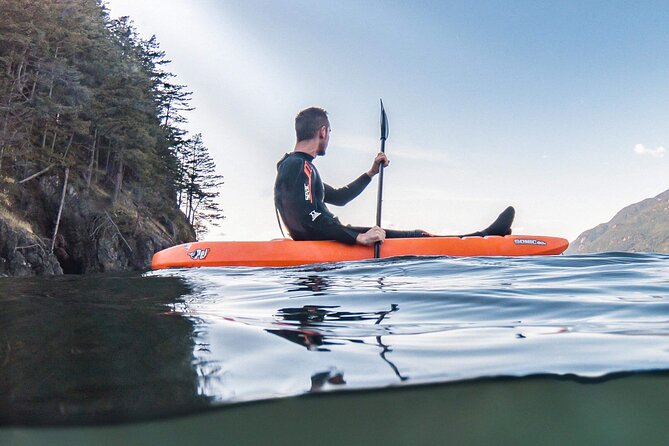Snorkel, Kayak, and Seal Adventure: Vancouver Boat Tour - Customer Feedback