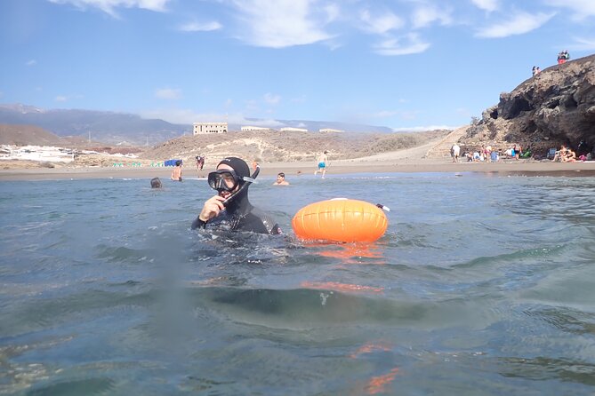 Snorkeling Excursion In South Tenerife - 3,5 Hours - Pricing and Additional Information