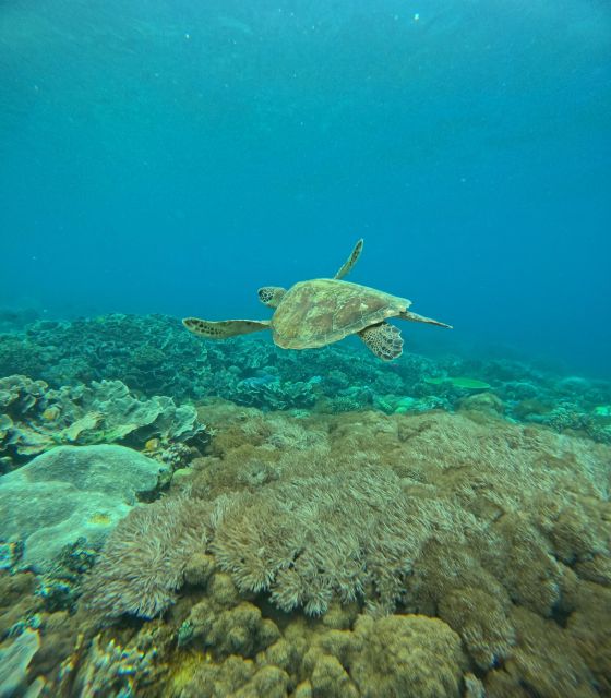 Snorkeling Nusapenida - Best Part Swim With the Mantarays - Location Details