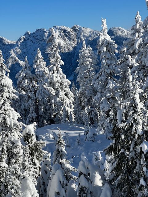 Snowshoeing in Vancouvers Winter Wonderland - Recommendations for Snowshoers