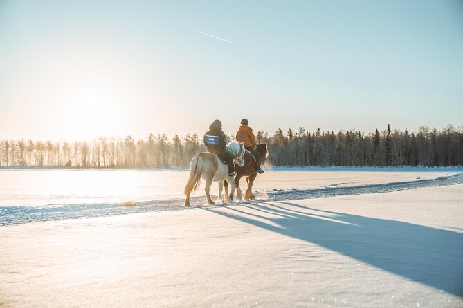 Snowy Nature on Horseback in Apukka Resort, Rovaniemi - Traveler Reviews and Ratings