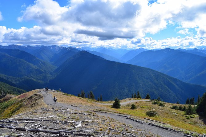 Sol Duc, Lake Crescent, and Hurricane Ridge Guided Tour in Olympic National Park - Additional Information