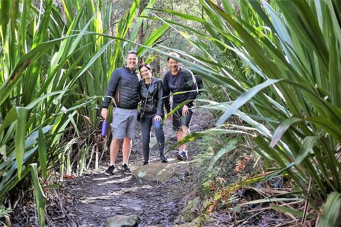 South Coast Day Tour, Blowholes, Lookouts, Bridge and Rainforest - Additional Details