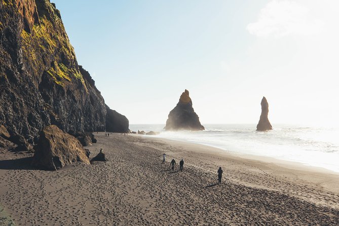 South Iceland Glaciers, Waterfalls and Black Sand Beach Day Tour From Reykjavik - Tour Guides Praise