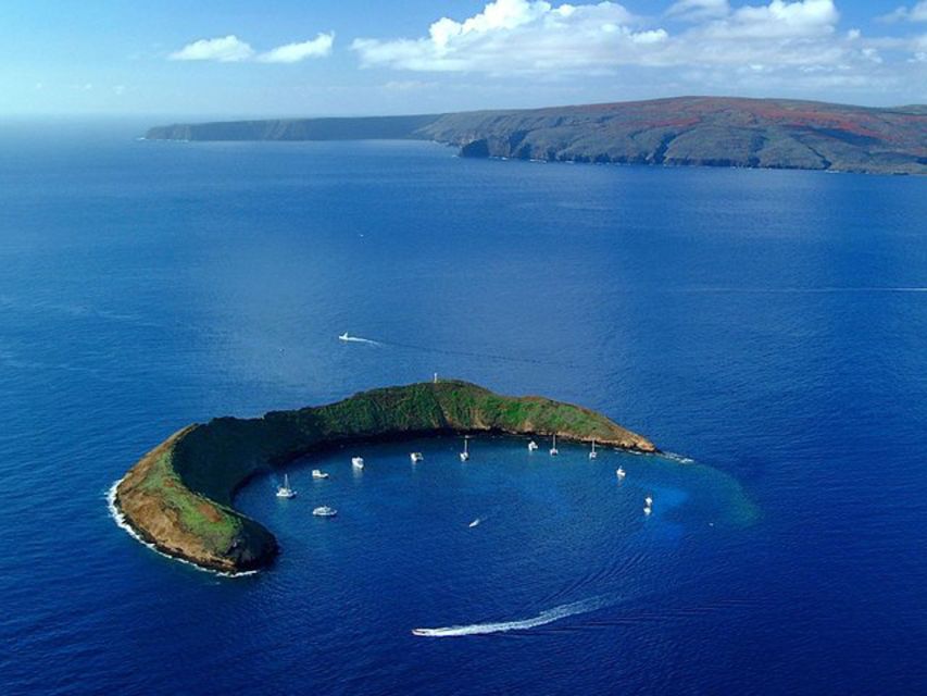 South Maui: PM Snorkel to Coral Gardens or Molokini Crater - Additional Information