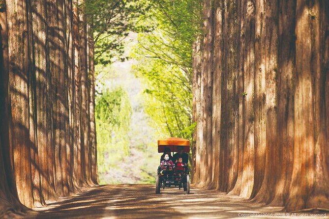 Special Private Tour Nami Island, Rail Bike, Petite France - Customer Reviews