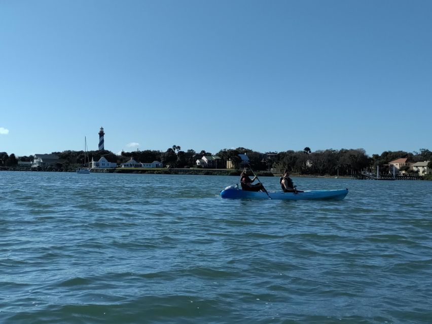 St. Augustine Downtown Bayfront: Kayak History Tour - Wildlife Spotting Opportunities