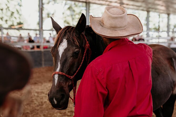 Stockmans Experience in Uralla - Directions