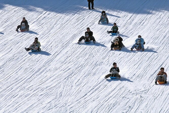 Strawberry & Eobi Valley Tour With Nami Island or Sled Option - Suitable for All Ages