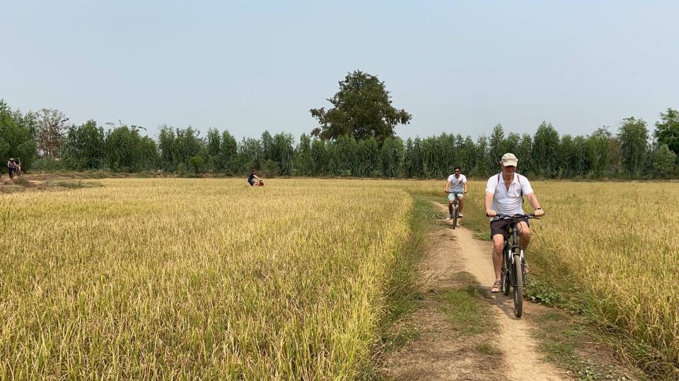 Sukhothai: Half-Day Countryside Bike Tour - Last Words