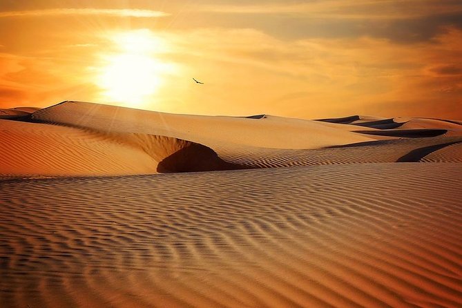 Sunrise in Dubai Desert - Support and Information