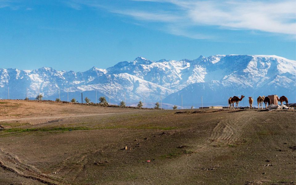 Sunset, Camel Ride, & Dinner at Agafay Desert From Marrakesh - Booking Details