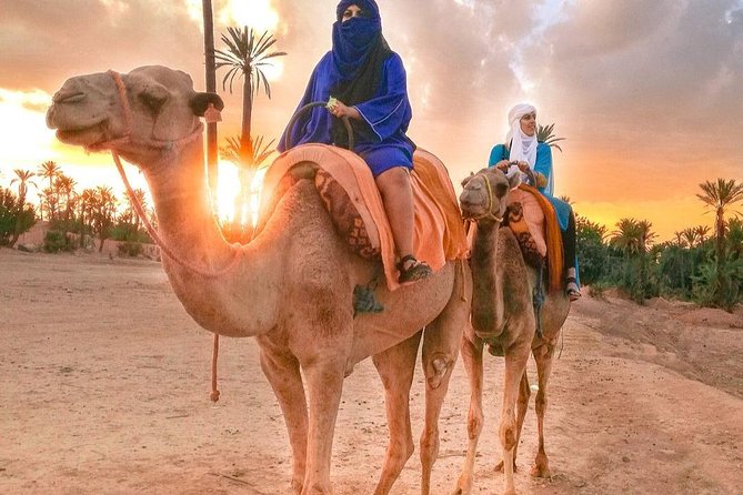 Sunset Camel Ride In Marrakech Palm Grove - Common questions