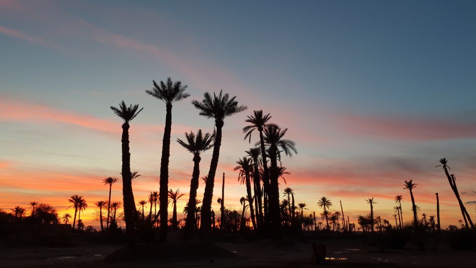 Sunset Camel Ride in the Marrakech Palmeraie - Booking Information