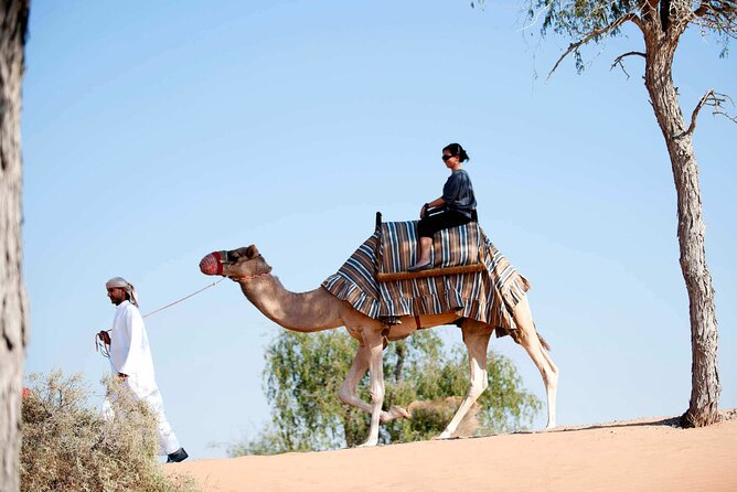 Sunset Camel Ride Including BBQ Dinner From Ras Al Khaimah - Last Words