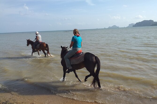 Sunset Horse Riding And BBQ Dinner Tour At Ao Nam Mao Beach Krabi - Customer Reviews