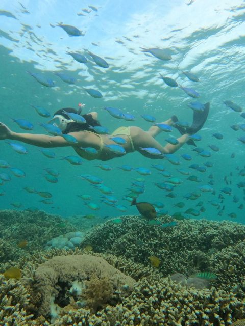 Sunset Snorkeling Trip Private - Return Details - Ombak Bar