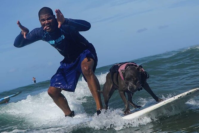 Surf With a Service Animal - Additional Information for Your Trip