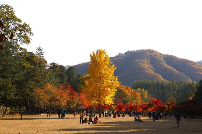 Suwon Hwaseon & King Cherry Blossom Gakwonsa & Flower Festival - Event Schedule