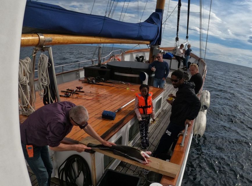 Svolvær: Luxury Lofoten Islands Fishing Trip - Additional Activity Information