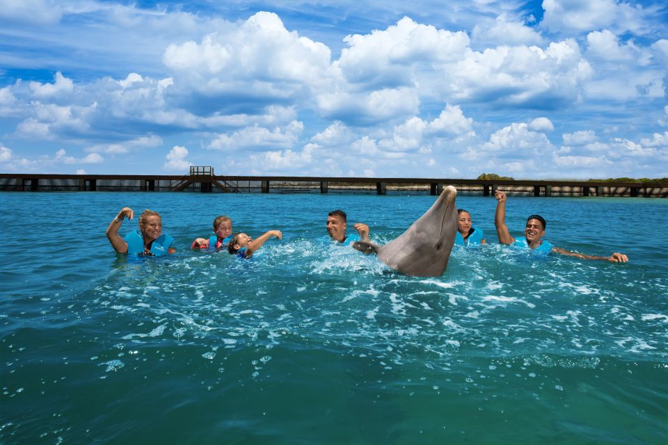 Swim With Dolphins Ride - Playa Mujeres - Location and Directions