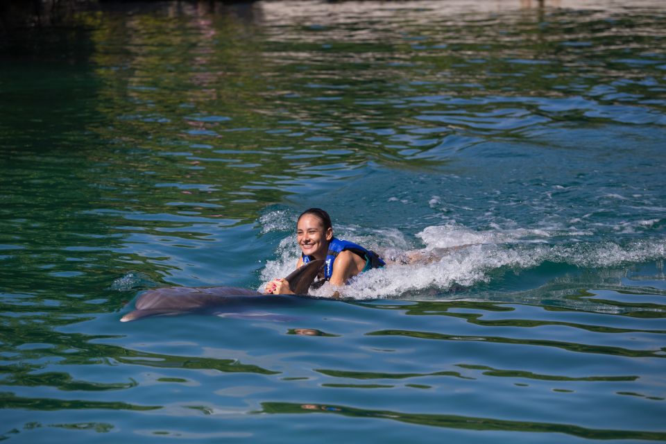 Swim With Dolphins Ride - Riviera Maya - Guest Reviews