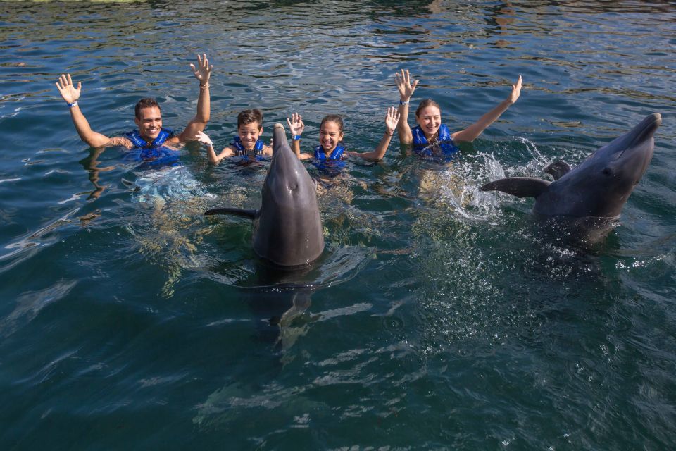 Swim With Dolphins Splash - Riviera Maya - Directions