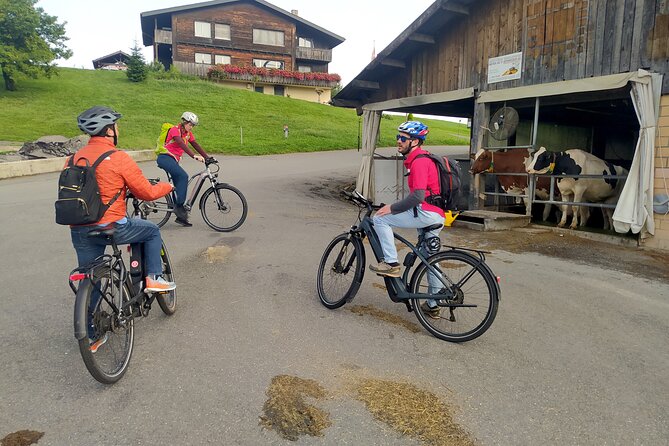 Swiss Knife Valley E-Bike Tour & Lake Lucerne Cruise - Additional Considerations