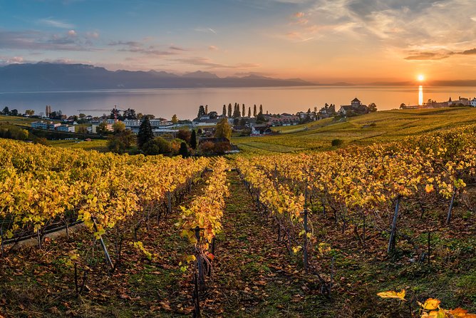 Swiss Riviera Private Tour: Lausanne, Montreux and Chateau Chillon - Seamless Booking and Logistics