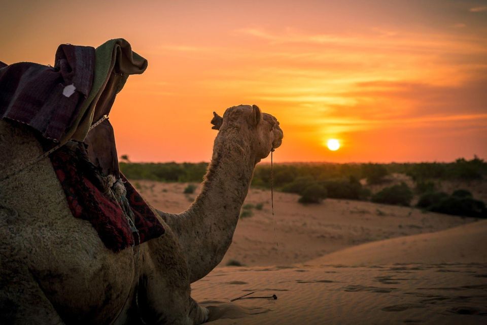 Taghazout: Sunset Beach Camel Ride With Hotel Transfers - Sunset Views