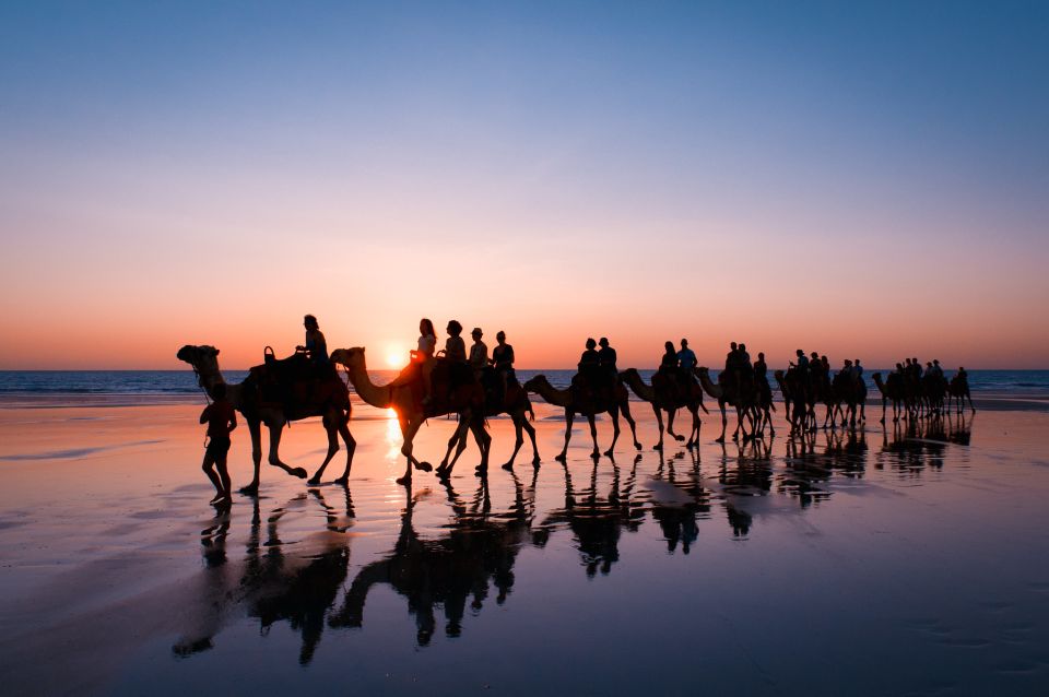 Taghazout Sunset Camel Ride - Pickup and Transportation Information