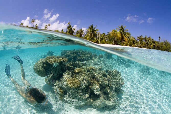 Tahaa Lagoon Tour -Departure Raiatea-Small Groups (Max 12 P) - Common questions