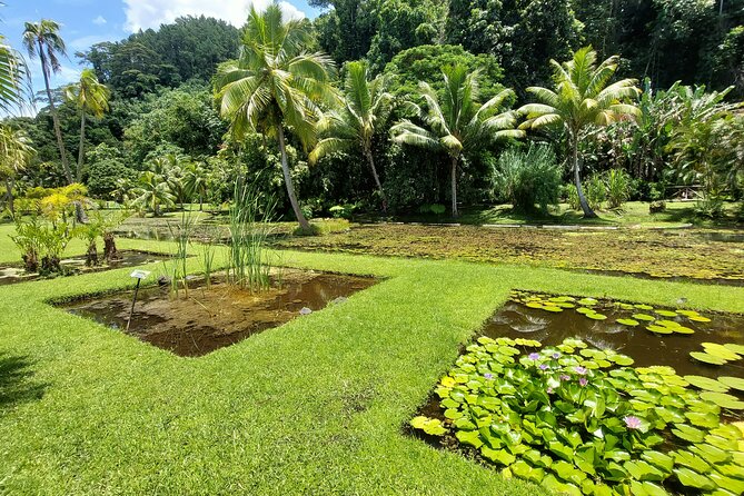 Tahiti Full Day Private Coastal Tour - Reviews and Testimonials